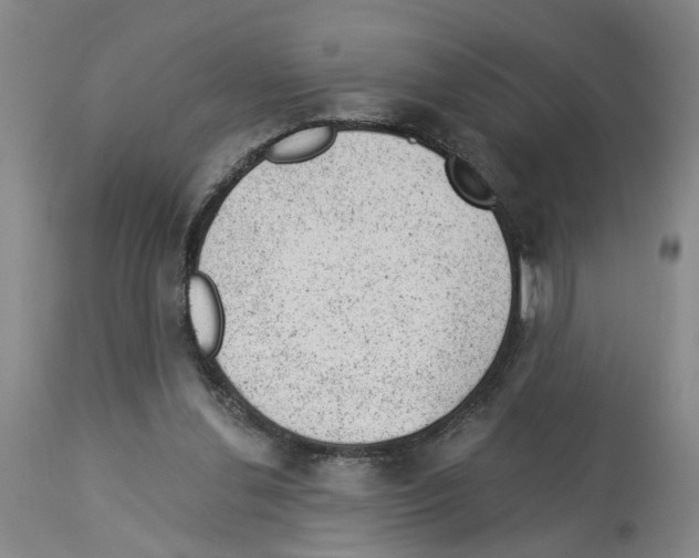 X0000112920252200910051115