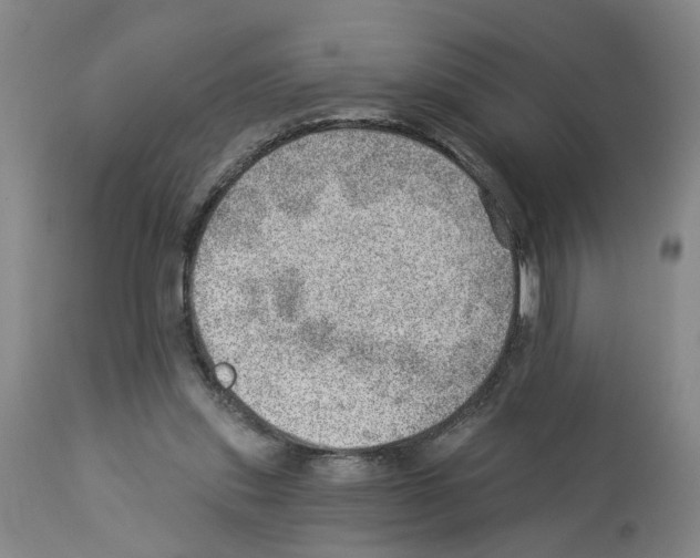 X0000112920253200910051115