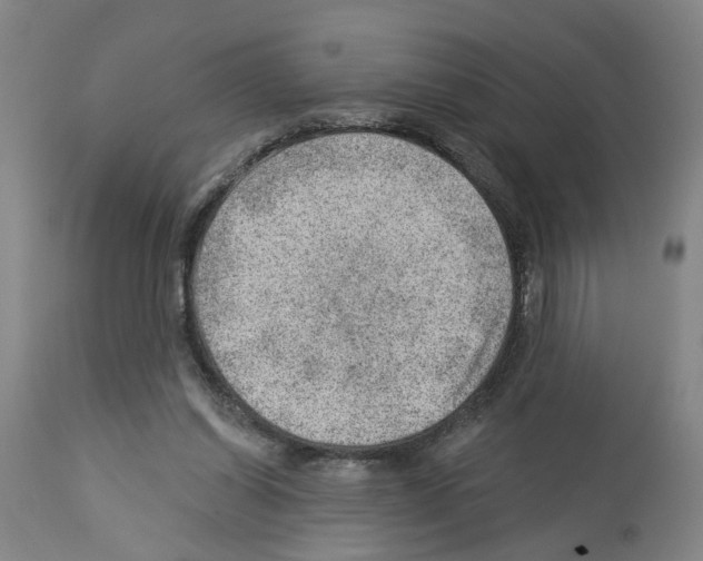 X0000112920254200910051115