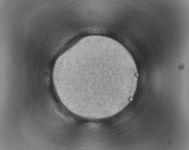 X0000112920255200910051115