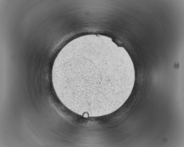 X0000112920256200910051115
