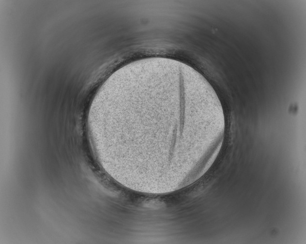 X0000112920258200910051115