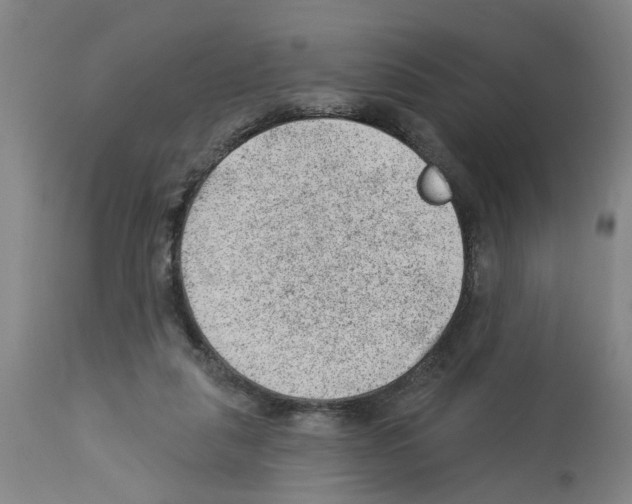 X0000112920259200910051115