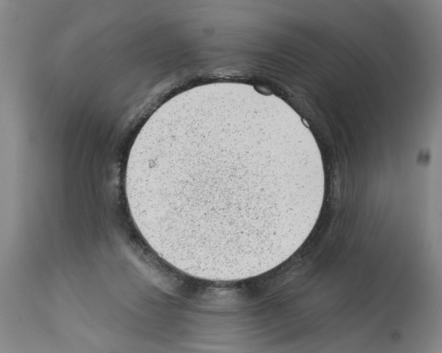 X0000112920260200910051115