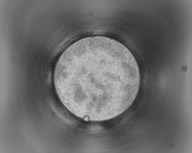 X0000112920262200910051115