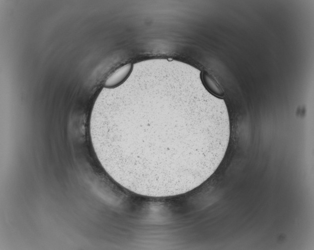 X0000112920264200910051115