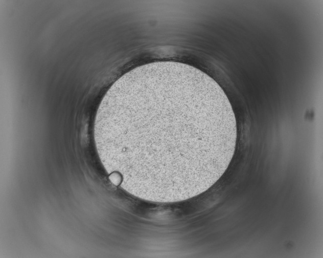 X0000112920267200910051115