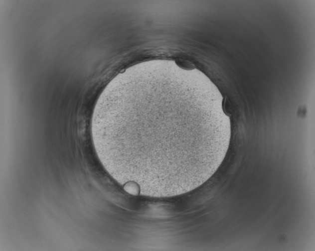 X0000112920268200910051115