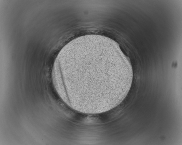 X0000112920270200910051115