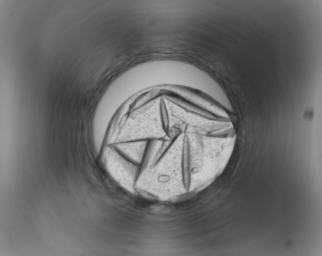 X0000112920272200910051115