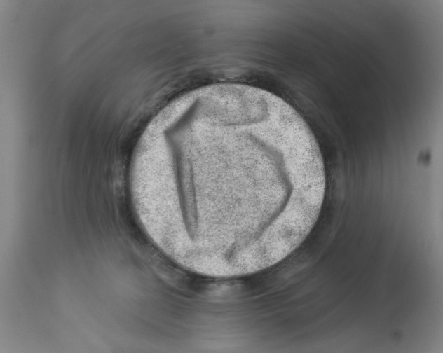 X0000112920274200910051115