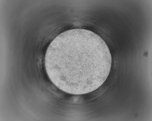 X0000112920275200910051115