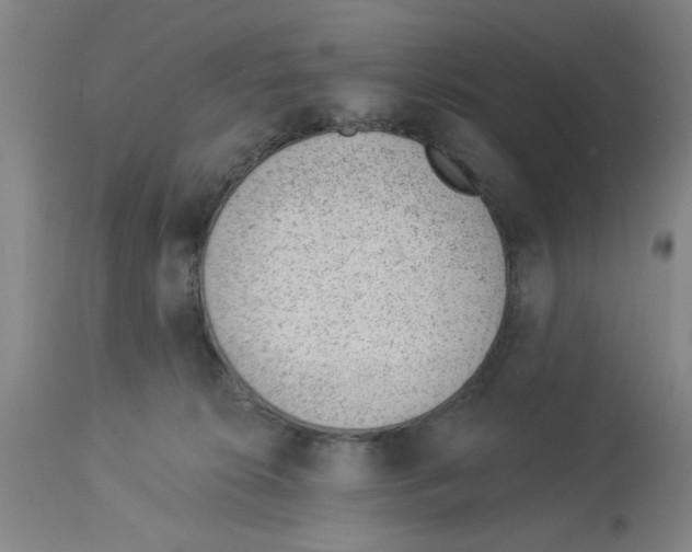 X0000112920276200910051115