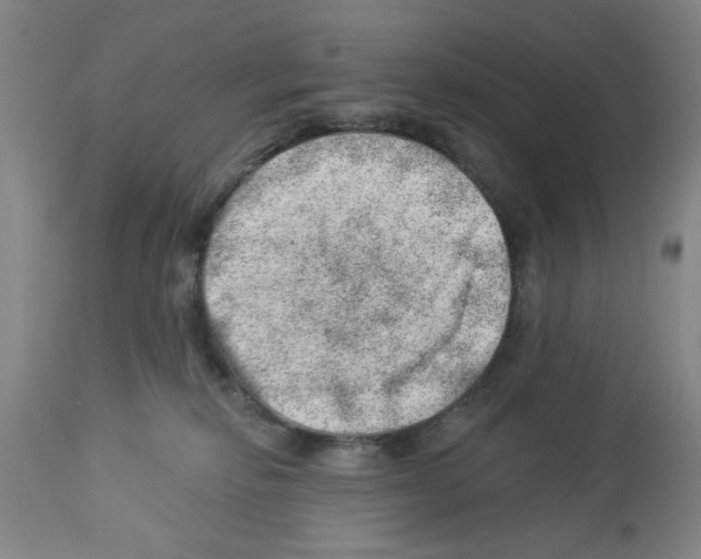 X0000112920278200910051115