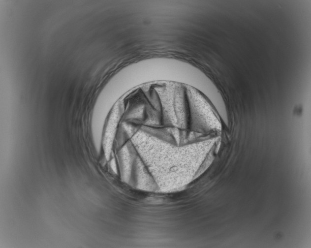 X0000112920280200910051115