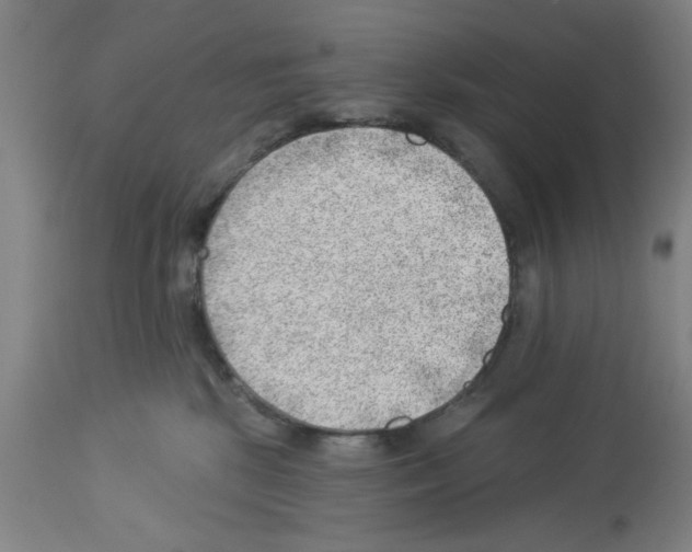 X0000112920281200910051115