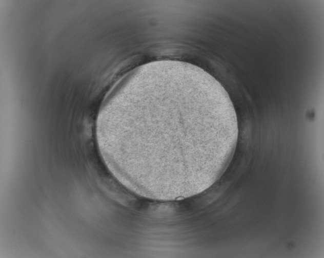 X0000112920282200910051115