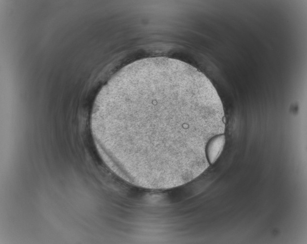 X0000112920283200910051115