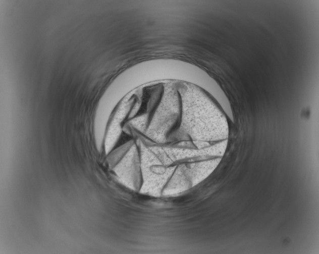 X0000112920284200910051115