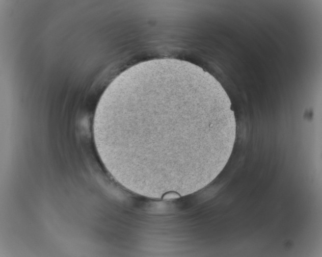 X0000112920286200910051115