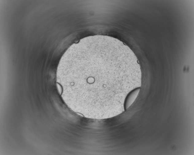 X0000112920288200910051115