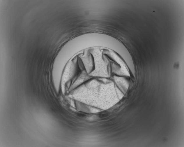 X0000112920333200910051114
