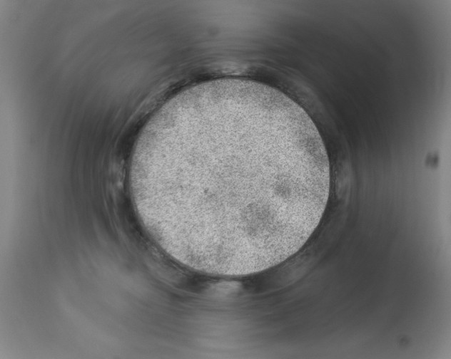 X0000112920374200910051114