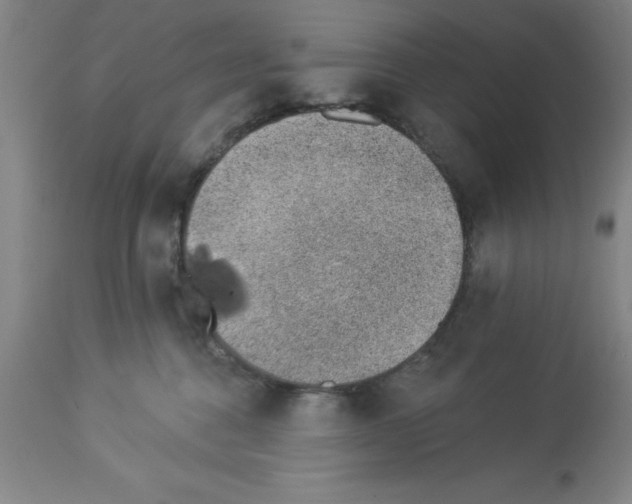 X0000112920376200910051114