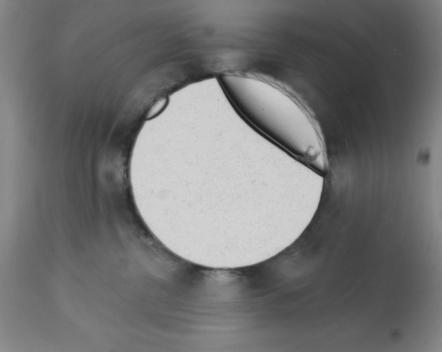 X0000112920380200910051114