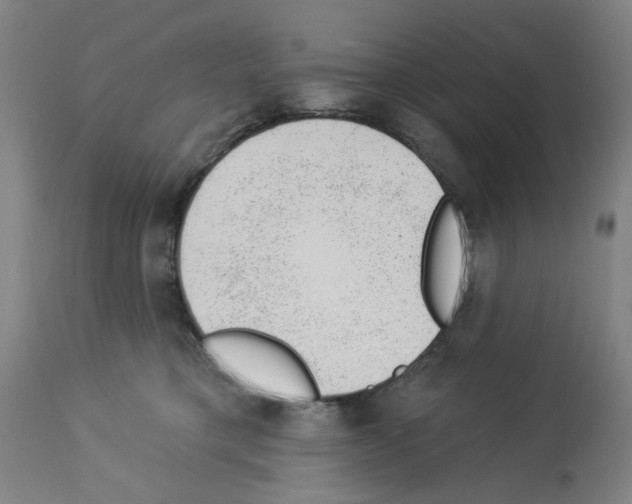 X0000112920421200910051112