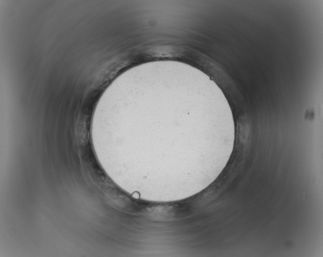 X0000112920422200910051112