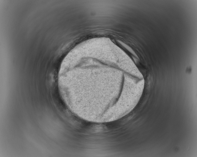 X0000112920424200910051112