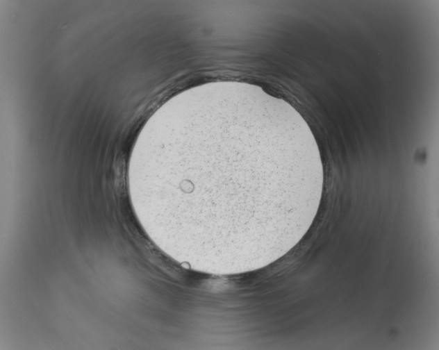 X0000112920425200910051112