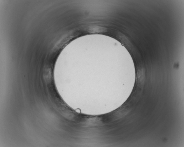 X0000112920426200910051112