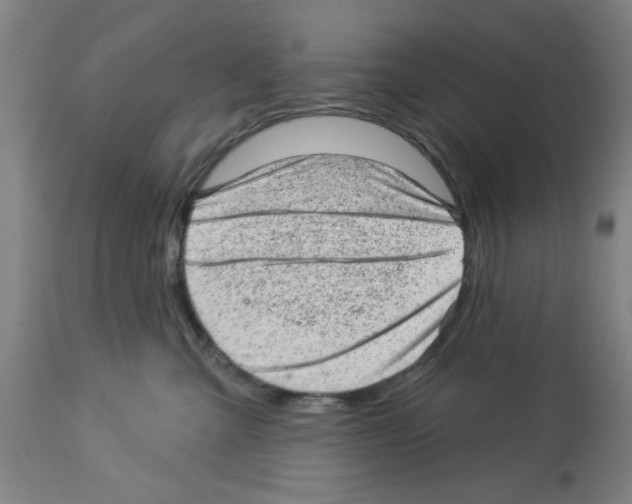 X0000112920427200910051112