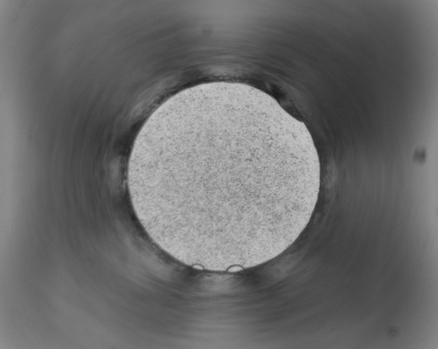 X0000112920428200910051112