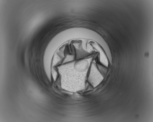 X0000112920429200910051112