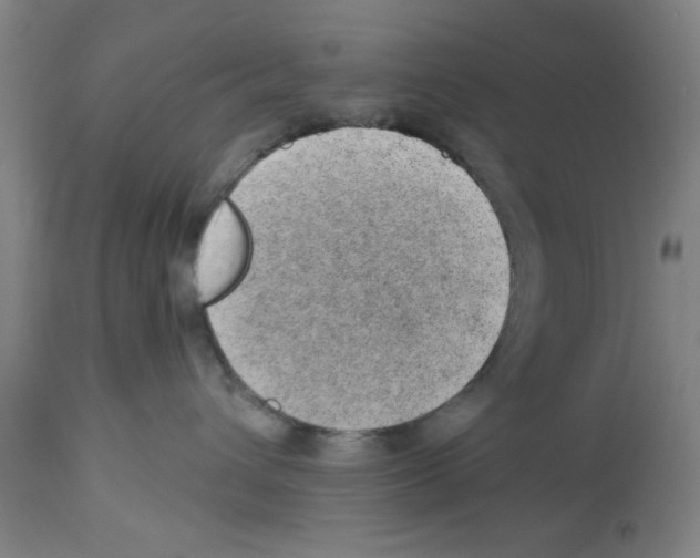 X0000112920432200910051112