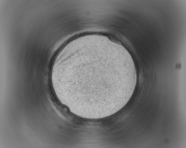 X0000112920436200910051112