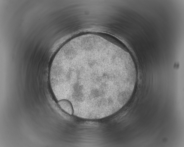 X0000112920437200910051112