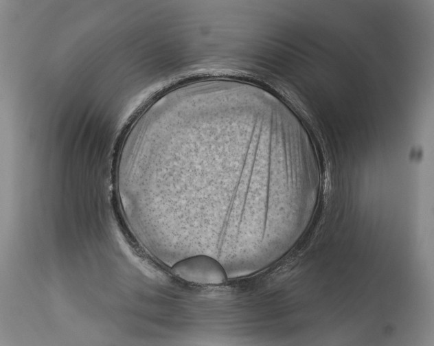X0000112920438200910051112