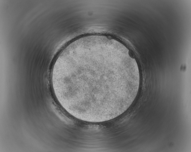 X0000112920439200910051112