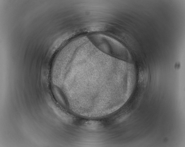 X0000112920444200910051112