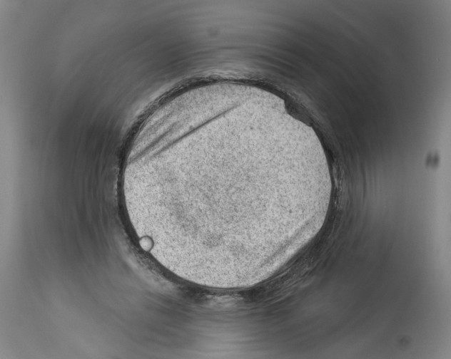 X0000112920446200910051112