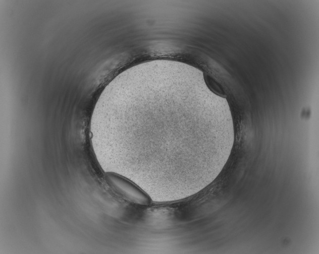 X0000112920452200910051112