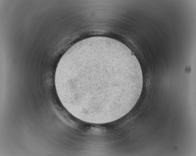 X0000112920455200910051112