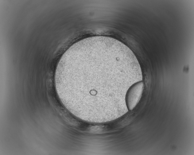X0000112920461200910051112