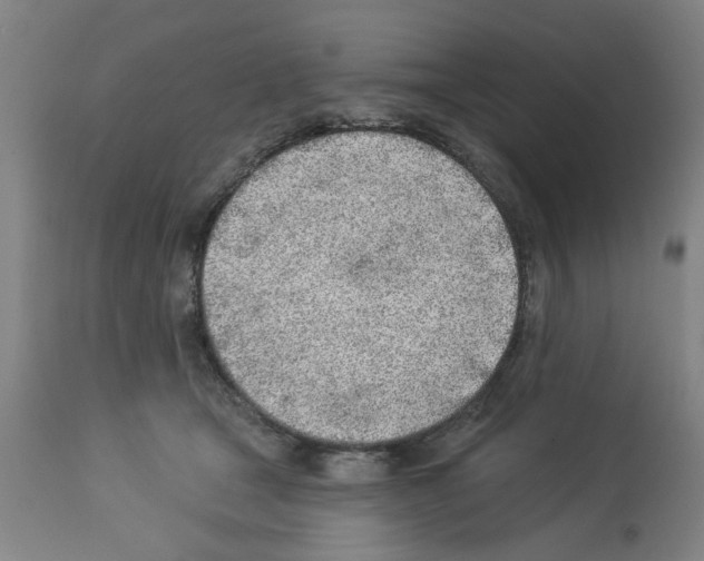 X0000112920465200910051112
