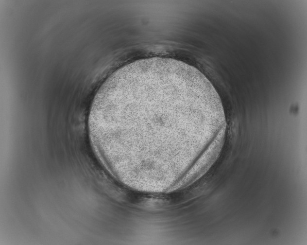 X0000112920466200910051112