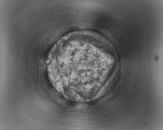 X0000112920471200910051112